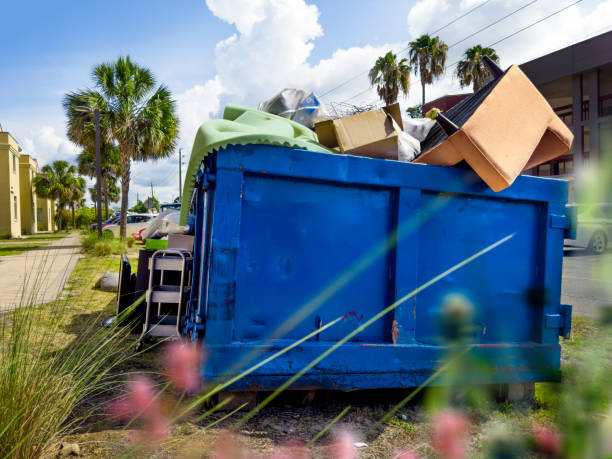 Best Office Junk Removal  in Meadow Les, AK